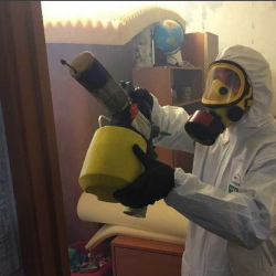 Уничтожение клопов в квартире. Десногорск